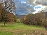 1131 Gooney Manor Loop - Photo 45