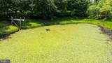 274A Aaron Mountain Road - Photo 47
