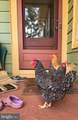 802 Blue Ridge Avenue - Photo 74