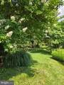 802 Blue Ridge Avenue - Photo 87