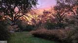 802 Blue Ridge Avenue - Photo 89