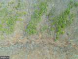 Wardensville Grade - Photo 48
