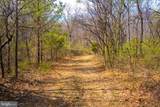  Wardensville Grade - Photo 49