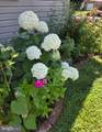 403 Chestnut Street - Photo 44