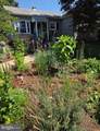 403 Chestnut Street - Photo 47