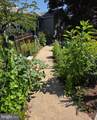 403 Chestnut Street - Photo 48