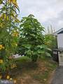 403 Chestnut Street - Photo 52