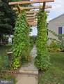 403 Chestnut Street - Photo 54