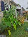 403 Chestnut Street - Photo 56