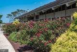 31 Watergreen Lane - Photo 64