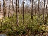27 Gobbler Run Road - Photo 3