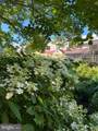 1800 Old Meadow Road - Photo 63