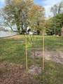 BK 94 Lot 11 Garfield Avenue - Photo 2