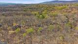 313 Mild Winter Road - Photo 51