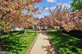 1014 Royal Street - Photo 21