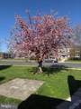 705 Fairview Avenue - Photo 11