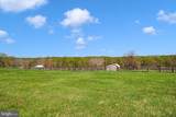 26100 Mullinix Mill - Photo 98