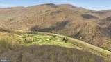 12623 Windy Ridge Drive - Photo 57