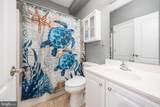 30413 Cedar Neck Road - Photo 13