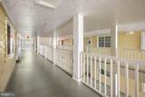 30413 Cedar Neck Road - Photo 48