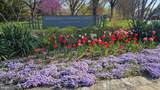 1400 Edgewood Street - Photo 45