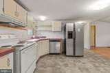 4703 Holly Drive - Photo 9