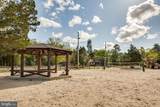 85 Powhatan Trail - Photo 68
