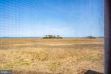 37456 Pettinaro Drive - Photo 45