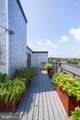 41 Lemon Street - Photo 43
