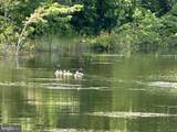 25 Big Mill Branch - Photo 45