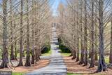 2547 Halfway Road - Photo 10