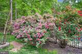 8125 Lee Jackson Circle - Photo 48