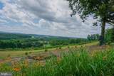 4815 Zeiglers Church Road - Photo 119