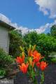 4815 Zeiglers Church Road - Photo 81
