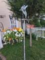9824 Town Lane - Photo 4