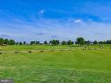 33187 Veranda Circle - Photo 62