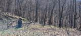 22000 Horse Valley Road - Photo 15