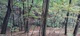 22000 Horse Valley Road - Photo 18