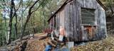 22000 Horse Valley Road - Photo 2