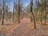 10930 Evergreen Acres Lane - Photo 13