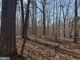 0 Paynes Pond Rd - Photo 3