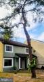15 Queen Anne Court - Photo 23