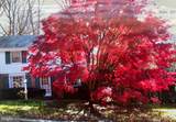 359 Spring Valley Road - Photo 2
