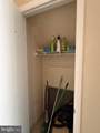 54 Foxglove Drive - Photo 8