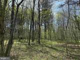  Water Oak Road (Tract: C119 Wingfield) - Photo 10