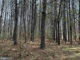  Water Oak Road (Tract: C119 Wingfield) - Photo 11