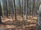  Water Oak Road (Tract: C119 Wingfield) - Photo 12