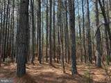  Water Oak Road (Tract: C119 Wingfield) - Photo 13