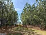  Water Oak Road (Tract: C119 Wingfield) - Photo 3