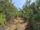 Water Oak Road (Tract: C119 Wingfield) - Photo 7